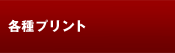 DVD�v�����g
